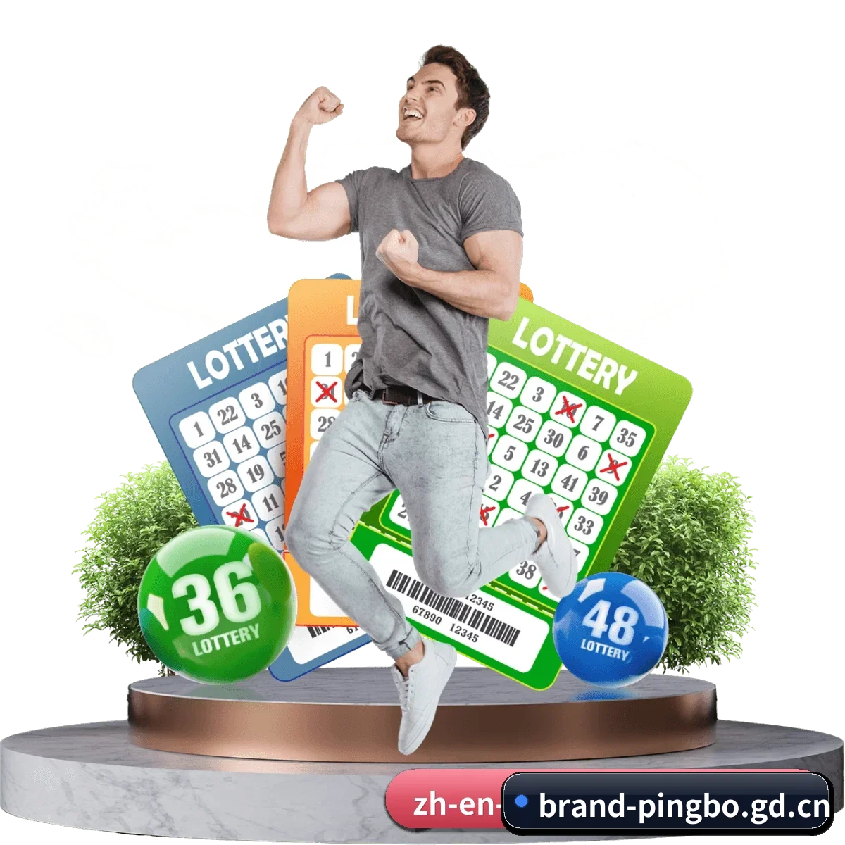 品牌创立与认证(pingbo)